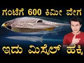 Download Lagu ಆಕಾಶದ ರಣಬೇಟೆಗಾರ! | Peregrine Falcon life | Fastest bird in the world | Masth Magaa Amar Prasad