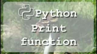 Learn to use Python print statement with Sublime editor