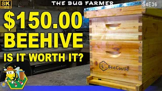 Bee Castle Beehive Kit Become a beekeeper for 150 00