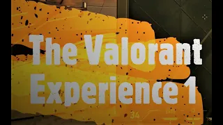 THE VALORANT EXPERIENCE