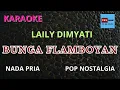 Download Lagu KARAOKE Bunga Flamboyan LAILY DIMYATI Nada PRIA