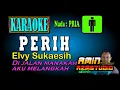 Download Lagu PERIH Elvy Sukaesih KARAOKE Nada PRIA