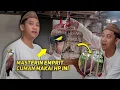 Lagu Cara Saya Berhasil Membuat Emprit Kaji Bersuara Kenari !