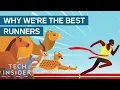 How Humans Evolved To Become The Best Runners On The Planet