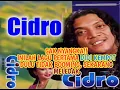 Download Lagu Gak Nyangka Inilah Lagu Pertama DIDI KEMPOT Dulu Tidak Booming, sekarang Meledak