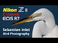 Nikon Z8 Canon R7 Sebastian Inlet Bird Photography 600PF 100-500 Lenses