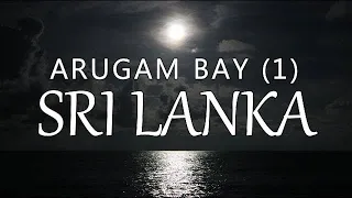 Arugam Bay – Part 1, Sri Lanka (Leave to Roam Sri Lanka Ep 15)