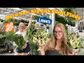 Lagu NEW $3.98 RARE Big Box Plant Shopping Finds 🤩 Home Depot \u0026 Lowe's 🤑 Relaxing Plant Shopping Day 💕