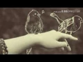 اغنية ياسر عبد الوهاب و محمد الصالحي ; اجاني الليل ; _ف ]