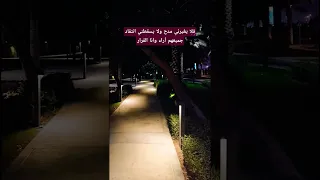 من اروع الامور المشي ليلا بكل هدوء دندنها