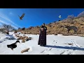 Lagu ❄️ An exciting journey to the snowy mountains🏔️ 🦆 Taban finds a wild duck