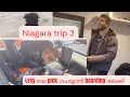 Niagara Falls 3 Canadian to pick Lexy pet boarding
