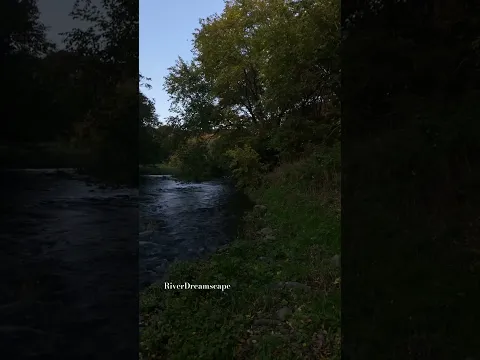 Pure River Sounds #relaxing