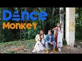Lagu Tones and I 'Dance Monkey'【MUSA】Guzheng Ruan 古筝 中阮