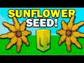 NEW SUNFLOWER SEED!! in Grow a Garden ROBLOX