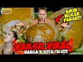 Download Lagu BAKSO SAMBALADO JUMBO, SPESIAL UNTUK AYU TING-TING!!!