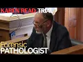 Karen Read Trial Pt 69 Dr Frank Sheridan