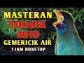 Download Lagu Masteran Suara Burung Tengkek Buto Gacor Durasi Panjang Dengan Gemericik Air