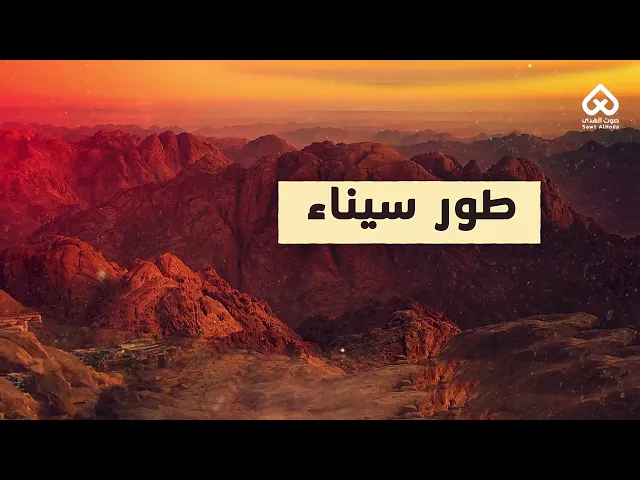⁣أماكن وردت في القرآن | سيناء 04