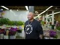 Welcome to the LA Flower District