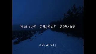 Download snowfall slowed to different perfections - øneheart x reidenshi 🌨️❄️🌨️ MP3