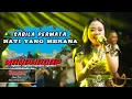 Download Lagu SABILA PERMATA  - HATI YANG MERANA - MANAHADAP STUDIO Live Sarirogo 2022