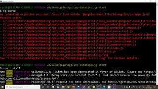 Cannot find module angular-- json