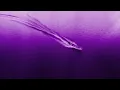 Larry June, 2 Chainz & The Alchemist - I Been (Chopped Not Slopped) (Official Visualizer)