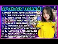 Download Lagu DJ TIKTOK TERBARU 2022 || DJ PAK VONG VONG X BABIBUM X PONG PONG TIKTOK VIRAL FULL BASS TERBARU 2022