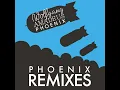 Lisztomania (Alex Metric Remix)