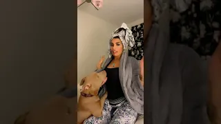 ١٤ أكتوبر  ٢٠٢١ دندنها