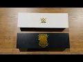 WWE John Cena Mini Replica Spinner Championship Title Belt with Case review