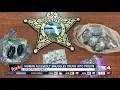 DeSoto County woman charged with smuggling drugs into correctional facility