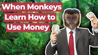 What Happens When Monkeys Learn how to Use Money