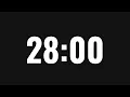 28 Minute Timer