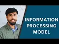 Information Processing Model - Information Processing Approach Psychology Araamse