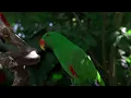 • 1 Hour of Beautiful Relaxing Piano & Guitar for Soothing and Calming