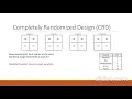 Split Plot Design