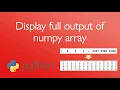 Display full output of numpy array in Python