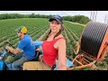 Download Lagu Pumping Water For The First Time in 3 Years! Full Irrigation Set Up On The Farm