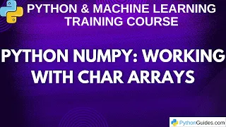 Python NumPy Working with Char Arrays