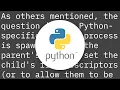 What are exactly the standard streams if there s no window open for the python inte