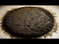 Download Lagu Removing Black Sludge from the Dirtiest Shag Rug Ever! Unbelievable Carpet Transformation