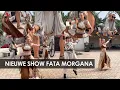 Download Lagu Efteling: nieuwe show met reus Djinn bij Fata Morgana (vuurspuwen, stage fight, dans)