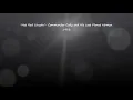 Hot Rod Lincoln- Commander Cody and His Lost Planet Airmen