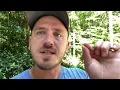 Effluent Filters Explained What They Are and How They Work