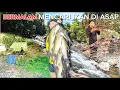 Download Lagu BERMALAM DI SPOT LUBUK SARANG IKAN LANGGANAN BERBURU IKAN MASHEER FISHING CAMPING