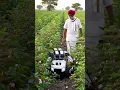 Download Lagu Aashiq | Billa Sonipat  #short​ #shorts​ #ytshorts​ #ytshort​ #haryanvi #shortvideo​ #youtubeshort​