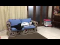 Download Lagu Pantomim di pagi hari (tema: Bangun Tidur)