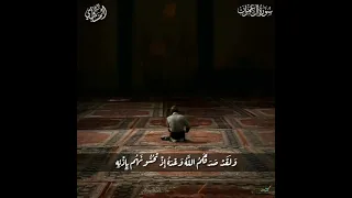 الشيخ المنشاوي  ح ت  ى  إ ذ ا ف ش ل ت م  و ت ن از ع ت م  ف ي ال أ م ر  و ع ص ي ت م  دندنها